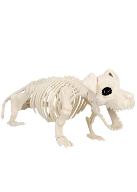 squelette de chien halloween, squelette décoration halloween, Squelette de Chien, 52 cm