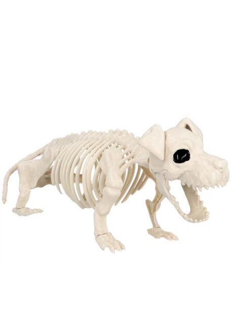 squelette de chien halloween, squelette décoration halloween, Squelette de Chien, 52 cm