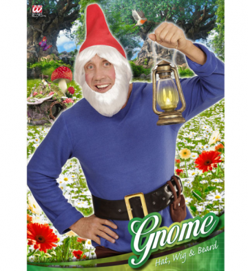 chapeaux de nain, coiffe de nains, chapeaux barbe, chapeaux de lutin, accessoires déguisements nains Chapeau de Gnome, Cheveux et Barbe