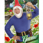 chapeaux de nain, coiffe de nains, chapeaux barbe, chapeaux de lutin, accessoires déguisements nains Chapeau de Gnome, Cheveux et Barbe