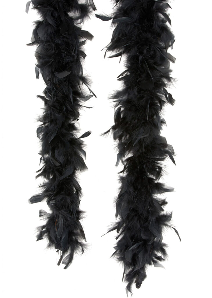 Cape Noir Cape Gothique ZITUZY Avec Plumes Noires - Ensemble Cosplay Pour Femme Halloween Et Soirées Echarpe Plume Gifi Cape Noir Cape Gothique ZITUZY Avec Plumes Noires - Ensemble Cosplay Pour Femme Halloween Et Soirées Echarpe Plume Gifi