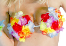 soutien gorge hawaï, soutien gorge à fleurs, accessoire hawaï déguisement, accessoire déguisement hawaï, soutien gorge à fleurs