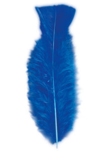 plumes de décoration, plumes pour masques, plumes de déguisements, plumes, sachet de plumes, plumes bleu ciel, plumes turquoises, plumes d'oiseau, plumes bleues
