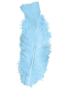 plumes de décoration, plumes pour masques, plumes de déguisements, plumes, sachet de plumes, plumes bleu ciel, plumes turquoises, plumes d'oiseau, plumes bleues