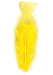 plumes de décoration, plumes pour masques, plumes de déguisements, plumes, sachet de plumes, plumes d'oiseau, plumes jaunes, Plumes Jaunes, Sachet de 50 Plumes