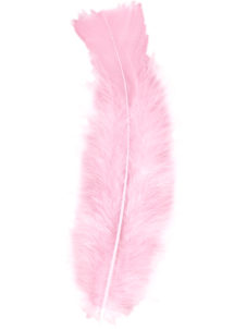 plumes de décoration, plumes pour masques, plumes de déguisements, plumes, sachet de plumes, plumes bleu ciel, plumes turquoises, plumes d'oiseau, plumes bleues, Plumes Rose Pâle, Sachet de 50 Plumes