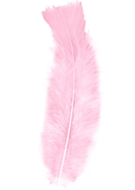 plumes de décoration, plumes pour masques, plumes de déguisements, plumes, sachet de plumes, plumes bleu ciel, plumes turquoises, plumes d'oiseau, plumes bleues, Plumes Rose Pâle, Sachet de 50 Plumes