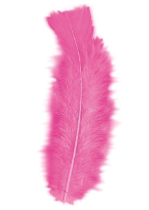 plumes de décoration, plumes pour masques, plumes de déguisements, plumes, sachet de plumes, plumes d'oiseau, plumes roses