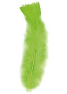 plumes de décoration, plumes pour masques, plumes de déguisements, plumes, sachet de plumes, plumes d'oiseau, plumes vertes