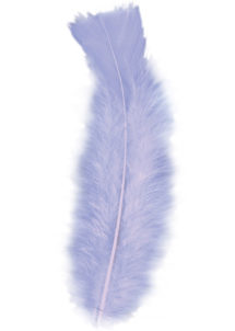 plumes de décoration, plumes pour masques, plumes de déguisements, plumes, sachet de plumes, plumes d'oiseau, plumes violettes