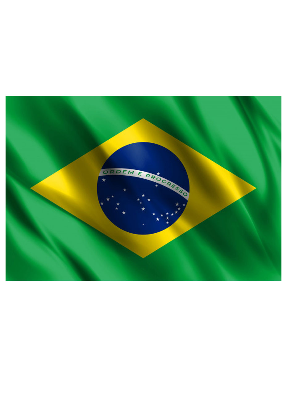 Drapeau Brésil avec hampe officielle