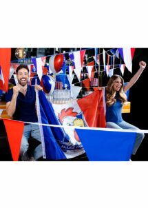 GUIRLANDE FANIONS FRANCE POLYESTER