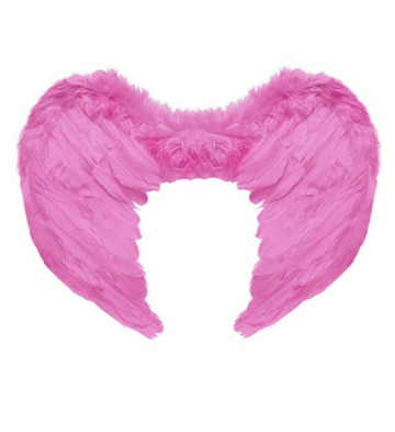 ailes de déguisement, ailes pour se déguiser, ailes d'anges roses, ailes d'ange rose, ailes en plumes, ailes roses Ailes d’Ange Roses, Fuchsia