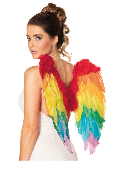 ailes de déguisement, ailes pour se déguiser, ailes d'anges, ailes de perroquet, ailes d'oiseau adultes, ailes plumes multicolores, ailes d'anges multicolores, Ailes en Plumes, Multicolores