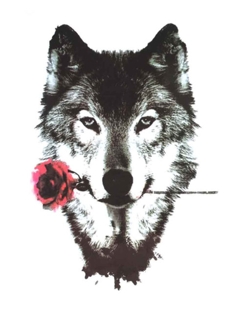 faux tatouage de loup, faux tatouage loup, tatouage temporaire, tatouages autocollants, Faux Tatouages, Loup avec Rose