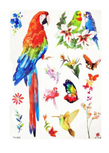 faux tatouages, tatouages temporaires, tatouages perroquets