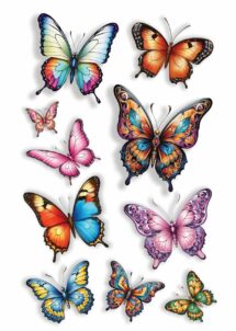 tatouage éphémère papillons, faux tatouages, tatouages éphémères, Faux Tatouages Papillons – Femme et Enfant