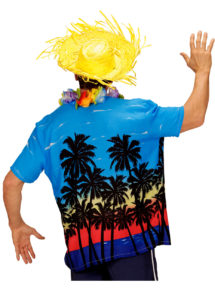 chemise palmiers déguisement, chemise hawaïenne, chemise hawaï déguisement, déguisement hawaï adulte, déguisement hawaï homme, chemise à fleurs déguisement
