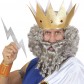perruque pour homme, perruque pas chère, perruque de déguisement, perruque homme, perruque grise, perruque avec barbe, perruque dieux grec Perruque + Barbe Character Curly, Grise