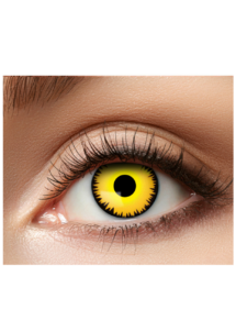 lentilles jaunes loup, lentilles jaunes oeil de loup