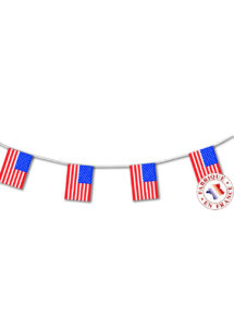 GUIRLANDE-DRAPEAUX-AMERICAINS-3