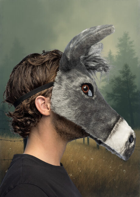 masque d'âne, masque d'ane, masques animaux, masque animal fourrure, Masque d’Ane, Fausse Fourrure, Demi Visage