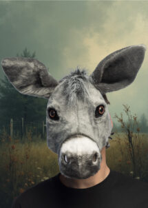 masque d'âne, masque d'ane, masques animaux, masque animal fourrure