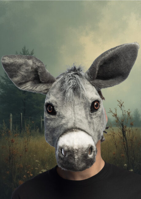 masque d'âne, masque d'ane, masques animaux, masque animal fourrure, Masque d’Ane, Fausse Fourrure, Demi Visage