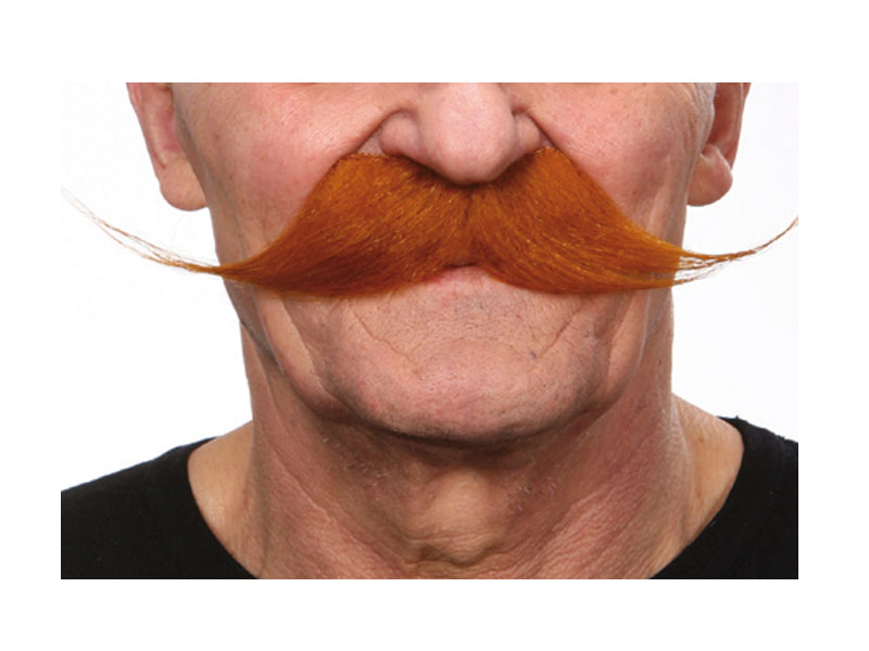 PTIT CLOWN - 89217 - Moustache Et Barbe Collier - Accessoire De Déguisement - Adhésives, Autocollantes - Parfait Pour Carnaval, Fêtes à Thèmes, Cosplay, Manga, Nouvel An, Halloween - Gris