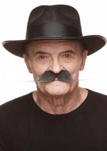 moustache qualité supérieure, postiche moustache grise, moustache grise, Moustache Grise Dandy, Luxe