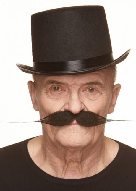 fausses moustaches, postiche, moustache postiche, fausses moustaches réalistes, fausse moustache de déguisement, moustache noire, moustache 19e, Moustache Noire Dali, Luxe