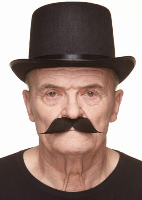 moustache noire, postiche moustache noire, moustache début de siècle, Moustache Noire Dandy, Luxe