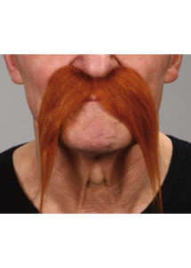 fausses moustaches, postiche, moustache postiche, fausses moustaches réalistes, moustache rousse, moustache de gaulois, moustache rousse