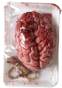faux cerveau halloween, faux membres déco halloween, cerveau HALLOWEEN