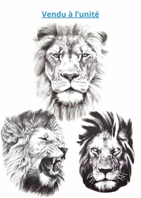 faux tatouage, tatouages temporaires, tatouage de Lion, faux tatouage lion, Faux Tatouages Lion – Motifs Réalistes