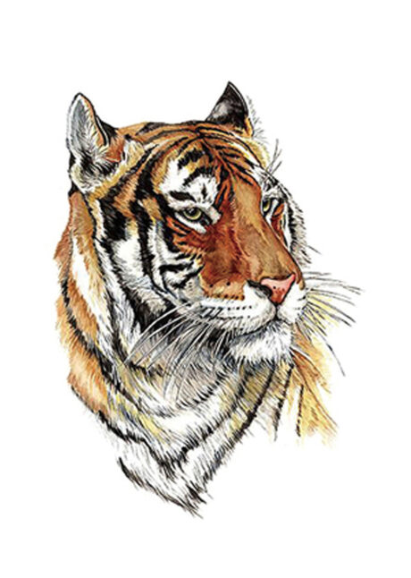 faux tatouage tigre, tatouage temporaire, faux tatouages, Faux Tatouages, Tigre Couleur