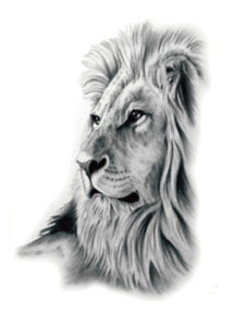 faux tatouage, tatouages temporaires, tatouage de Lion, faux tatouage lion, Tatouages Temporaires, Lion
