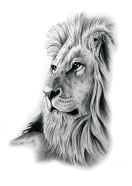 faux tatouage, tatouages temporaires, tatouage de Lion, faux tatouage lion, Faux Tatouages, Lion