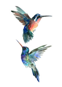 faux tatouages, faux tatouages oiseaux, tatouages temporaires oiseaux