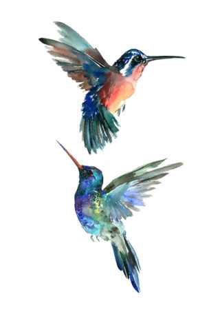 Tatouages Temporaires Colibris Aquarelle - 17 Motifs Réalistes, Imperméables - 3