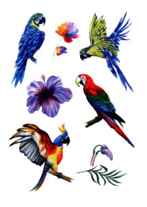 faux tatouages, tatouages temporaires, tatouages perroquets