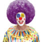 perruque afro disco, accessoire perruque déguisement, perruque afro disco, perruque pour homme, perruque pour femme, perruque pas chère, perruque de déguisement, perruque unisexe, perruque violette, perruque afro Perruque Afro Disco, Violette