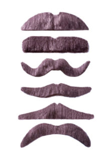 fausses moustaches, postiche, moustache postiche,, Moustache Grise, 6 Modèles