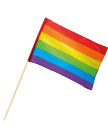 drapeau gay pride, drapeau gaypride, drapeau marche des fiertés, drapeau LGBT, drapeau arc en ciel, drapeau multicolore