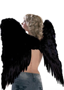 ailes de démon, ailes plumes noires déguisements, ailes d'ange noir, ailes de démons plumes noires, ailes d'ange noir, ailes d'ange en plumes noires
