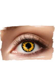 lentilles oranges, lentilles halloween, lentilles twilight