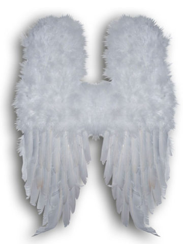 ailes d'anges, ailes de déguisement, ailes pour se déguiser, ailes d'anges, ailes d'ange, ailes en plumes, ailes blanches Ailes d’Ange en Plumes Blanches, 60 cm