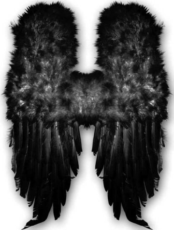 ailes de démon, ailes plumes noires déguisements, ailes d'ange noir, ailes de démons plumes noires, ailes d'ange noir, ailes d'ange en plumes noires Ailes d’Ange en Plumes Noires, 60 cm