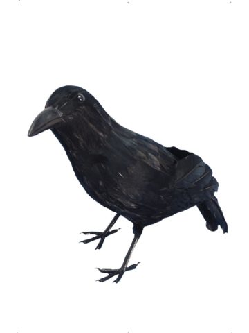 faux corbeau à plumes, accessoire halloween, décoration halloween, faux oiseau à plumes, faux corbeau Corbeau à Plumes Noires, 33 cm