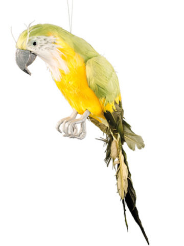 faux perroquets, faux perroquets en plumes, faux oiseaux en plumes, perroquet de décoration, décorations tropicales, décorations Hawaï , perroquet de pirate Décoration Perroquet en Plumes, Jaune et Vert